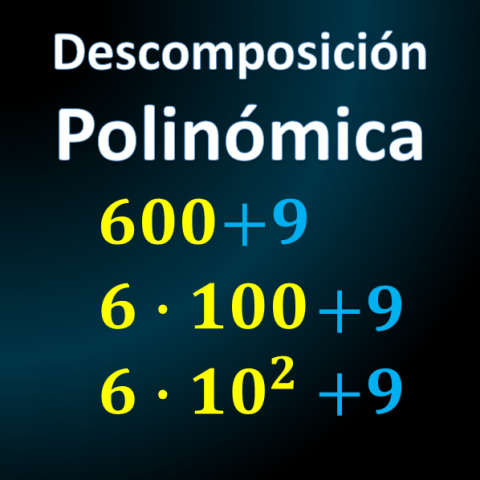 Descomposición Polinómica