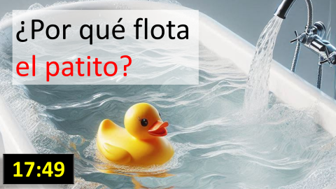 ¿Por qué flotan las cosas?