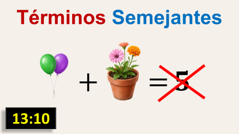 Reducción de Términos Semejantes