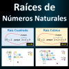 Raíces